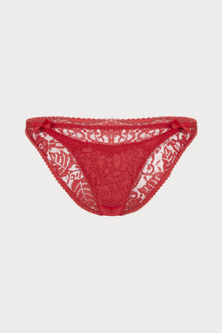 Kateryna Brief