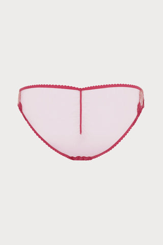 Agent Provocateur Zuri Brief Fuchsia/Red/Gold