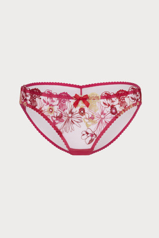 Agent Provocateur Zuri Brief Fuchsia/Red/Gold