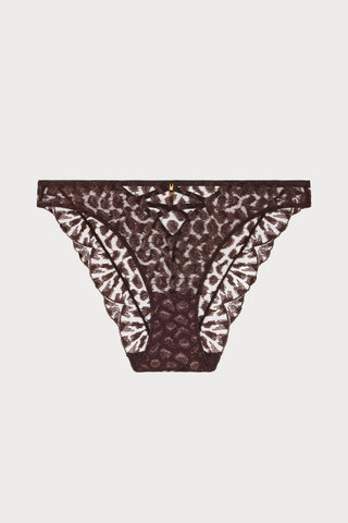 Crazy In Love Brown Embroidery Italian Brief