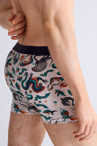 Men's Mosaic Gots Boxer with mythical
creatures - Aubade Homme 
