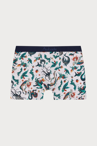Homme Men's Gots® Cotton Mosaic Boxer