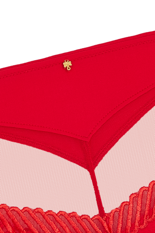 Sheer Emotion Red Shorty