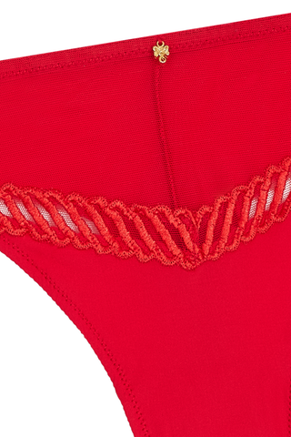 Sheer Emotion Red Tanga