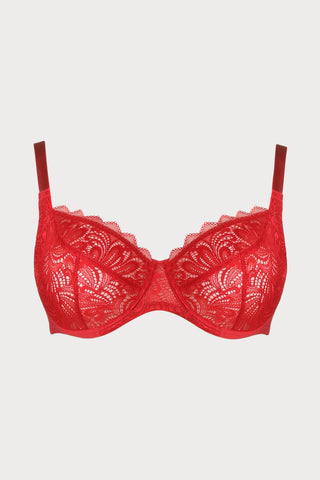 Hey Jude! Underwired Bra in Red