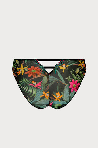 Fleurs Etoiles Italian Brief, Size XXL (UK 18)