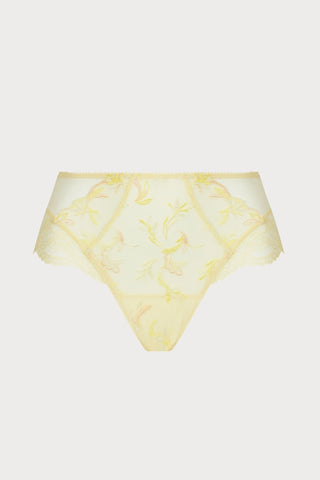Frisson D'or Shorty