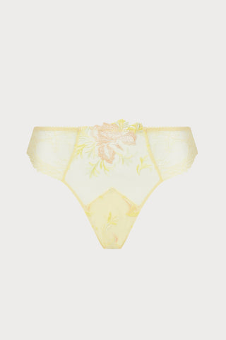 Frisson D'or Italian Brief