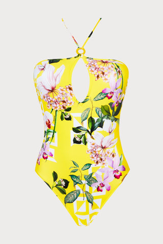 Jardin Delice Halter Neck Swimsuit