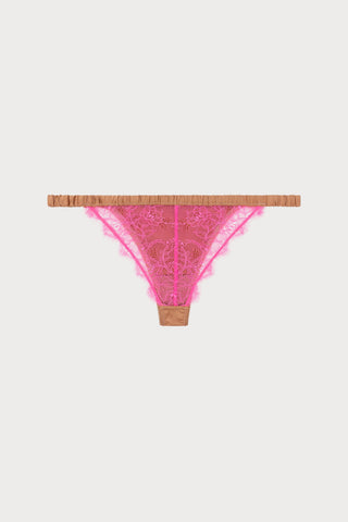 Charlotte Brief Brown