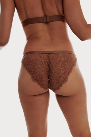 Wild Rose Brief Medium Brown
