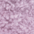 LS Lilac