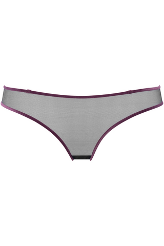 Maison Close Coup de Foudre Brief