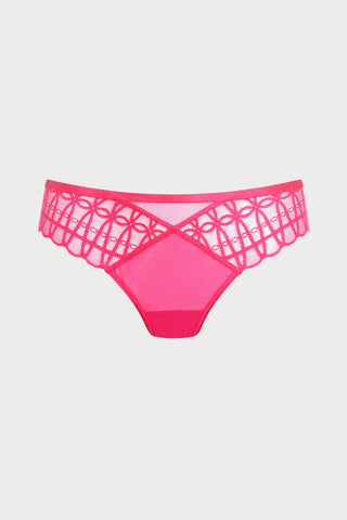 Captivating Mini Brief