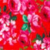 Rouge Cherie