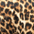 Sauvage Leopard