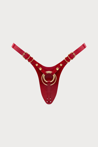 Fabulous Glossy Red Leatherette Harness