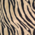 Tigre Bronze