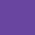 Wild Rose Neon Purple