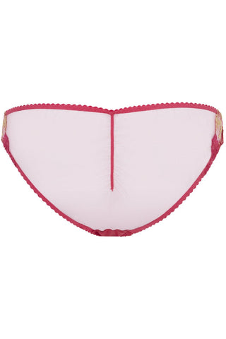 Agent Provocateur Zuri Brief Fuchsia/Red/Gold