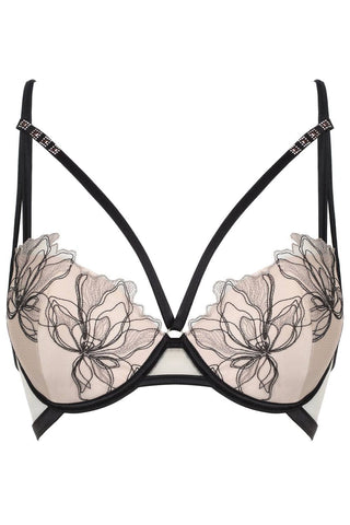 Prelude Greta Push Up Bra